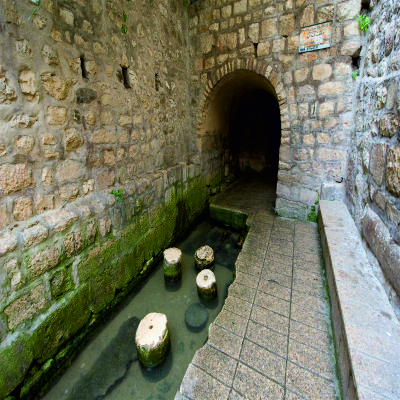 Gallery4